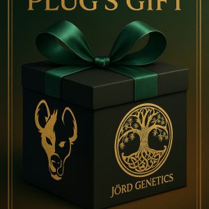 The Plug's Gift